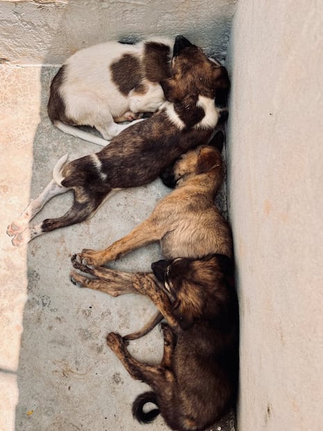 Descubre de que se trata este trastorno. Foto: Pexels