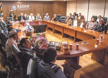 Van por elevar la producción de amaranto