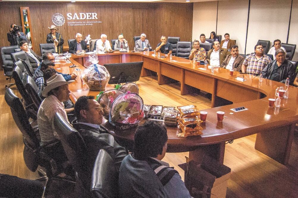 Productores de amaranto de diversos estados se reunieron con autoridades de la Sader para establecer acciones que impulsen a su industria. Foto/CORTESÍA