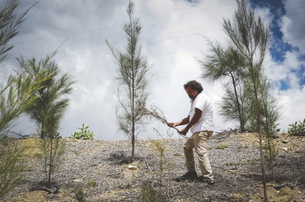 En el terreno, conocido como El Palenque, florece el primer parque natural de la entidad impulsado por Isaac García Jiménez y sin el uso de recursos gubernamentales. (MARIO A. MARTÍNEZ)