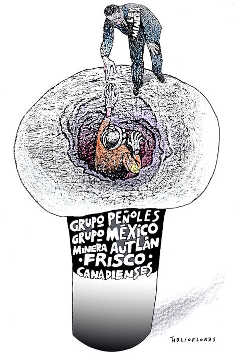 Cartón de HELIOFLORES