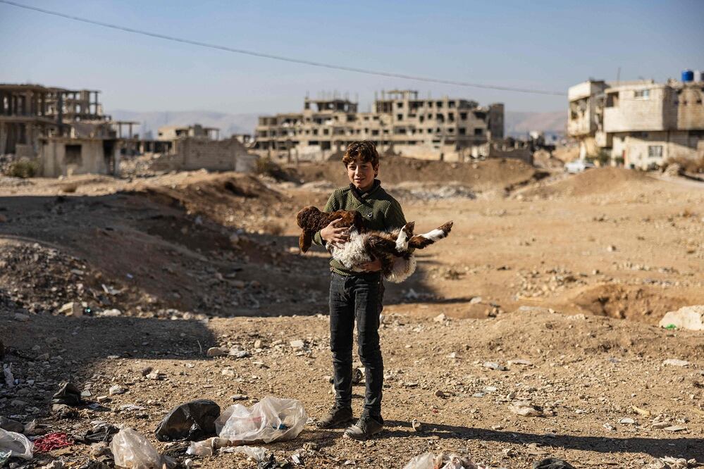Un niño transporta una oveja en la ciudad de Arbin, en Ghouta Oriental, a las afueras de Damasco, la capital siria, el 15 de diciembre de 2024. Los rebeldes islamistas tomaron Damasco en una ofensiva relámpago el 8 de diciembre, derrocando al presidente Bashar al-Assad y poniendo fin a cinco décadas de gobierno Baath en Siria. Foto: AFP