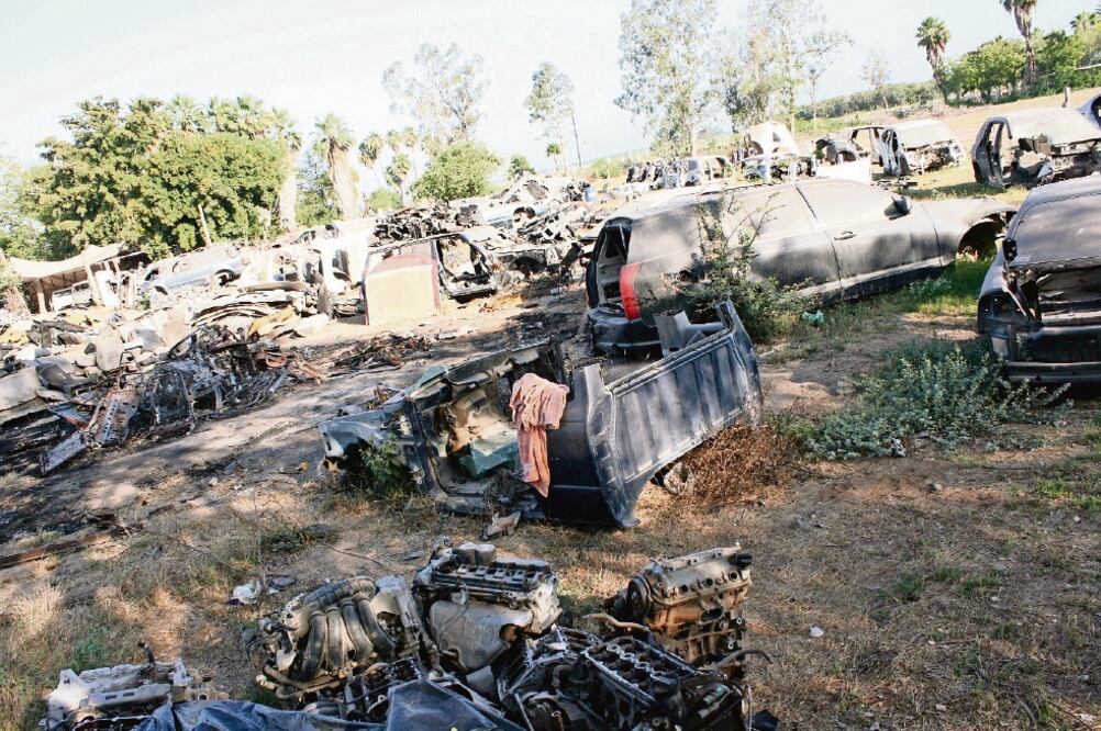 El operativo se realizó por tierra y por aire con el apoyo de un helicóptero de la Procuraduría General de la República (PGR). (ESPECIAL)