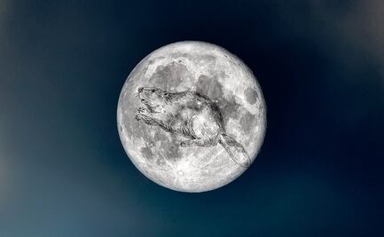 Luna del Castor 2024; estos días faltan para ver el fenómeno astronómico en México