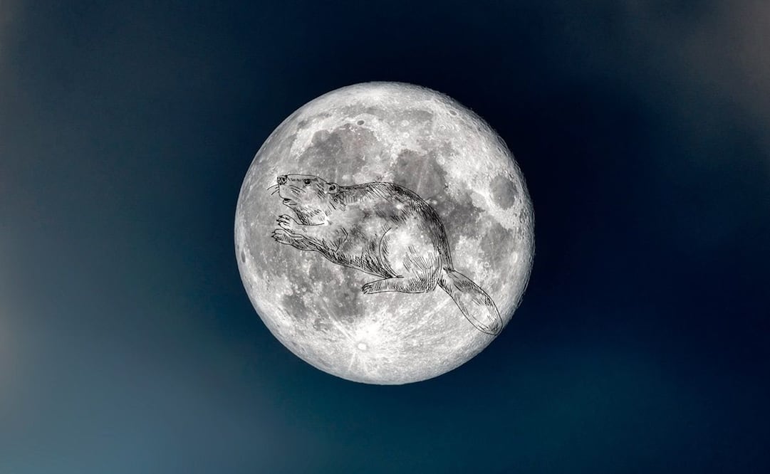 Un espectáculo visual para los observadores del cielo.
Foto: El Universal