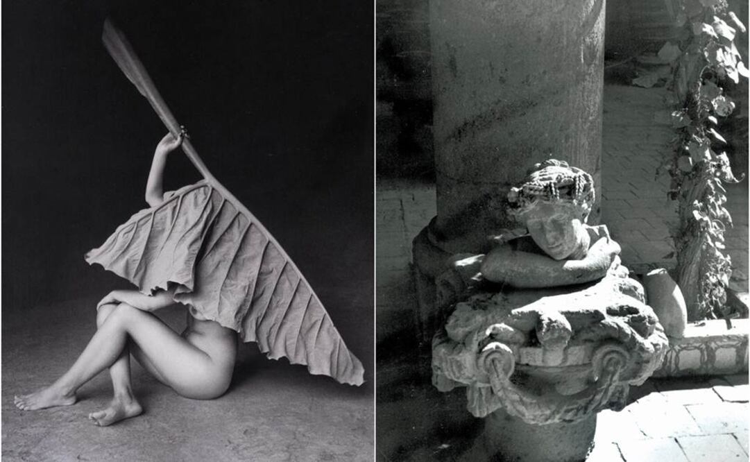 La exhibición abarca el periodo comprendido de 1940 a 1960, 20 años en los que Lola se consolidó como fotógrafa. FOTOS: Lola Álvarez Bravo