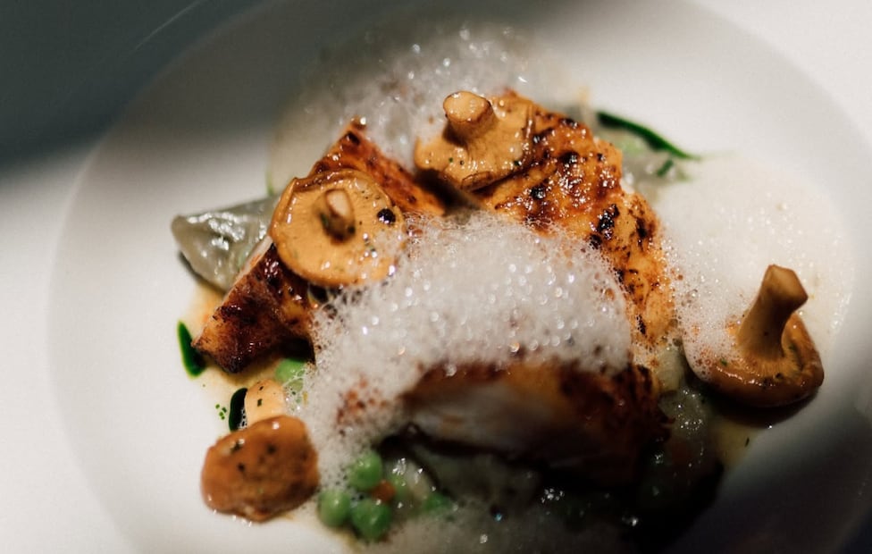 En Máximo, el chef Eduardo García integra los hongos duraznillo de temporada en salteados con espumas y emulsiones terrosas. Foto: Facebook Máximo.