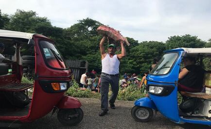 Volcadura de tráiler desata rapiña de carne en Oaxaca