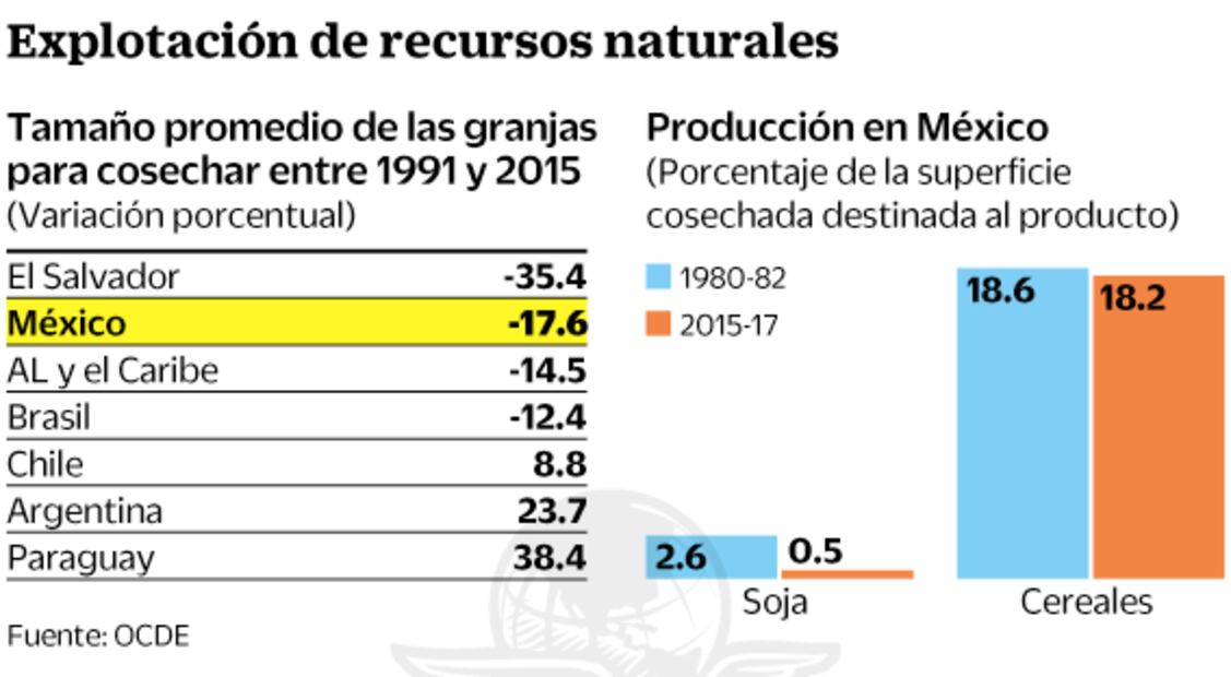 Tensión comercial puede impactar al mercado agro: FAO