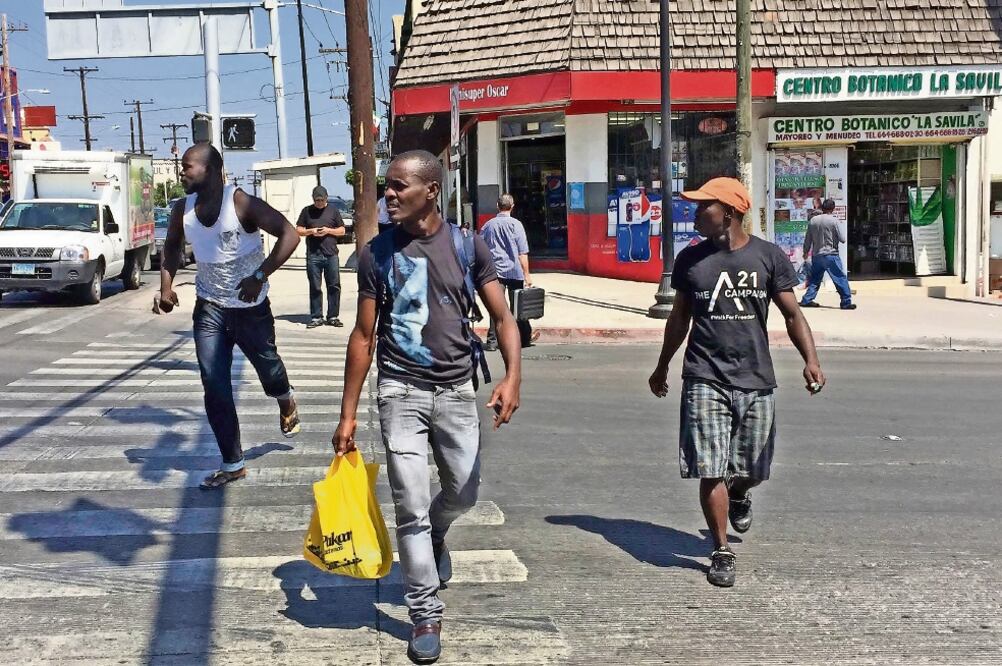 De 500 haitianos que llegaron a Tijuana y se presentaron como africanos, al arreglar la documentación para pedir asilo humanitario sólo cuatro pudieron comprobar que eran oriundos de El Congo y Nueva Guinea, señalan defensores de los derechos de migrantes