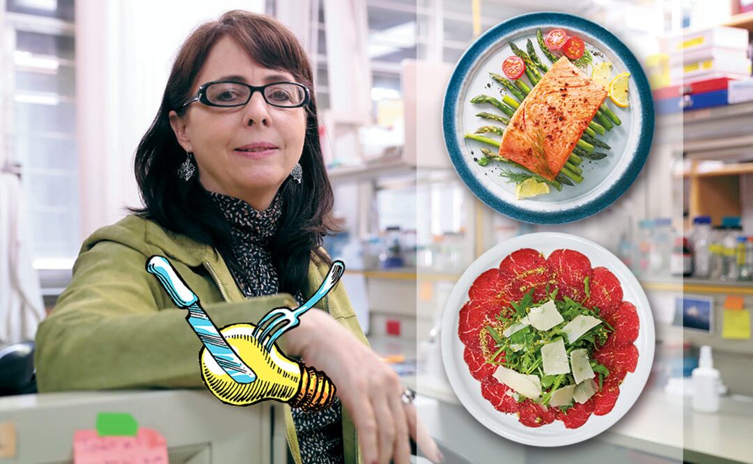 Fotografía: Archivo / EL UNIVERSAL