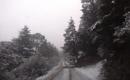 Cae primera nevada de la temporada en Nuevo León