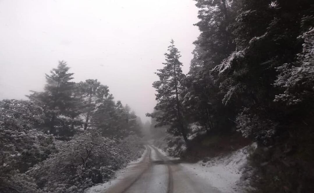 Foto: Tomada de Facebook de  @AlejandraRmzGaleana