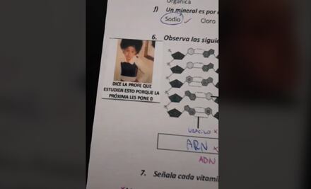 Maestra califica con memes y se vuelve viral