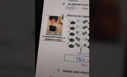 Maestra califica con memes y se vuelve viral
