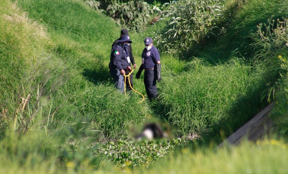 Foto: Claudia González / EL UNIVERSAL