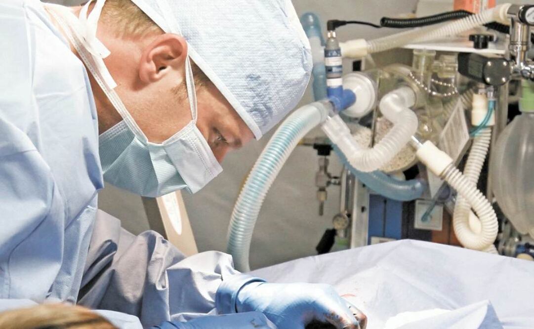 Foto ilustrativa: Archivo/EL UNIVERSAL