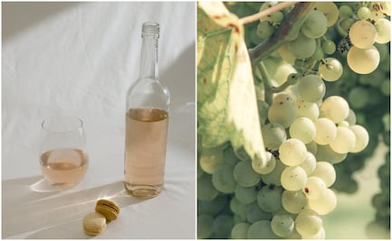 3 vinos moscato para disfrutar en casa