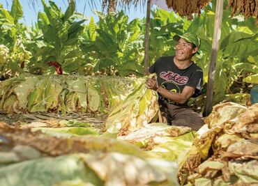 Philip Morris va por condiciones laborales dignas