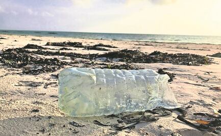 Mar en peligro. Basura se apodera de océanos