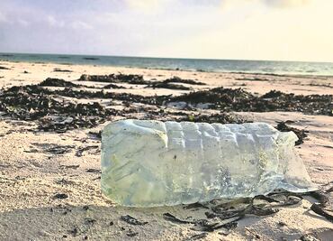 Mar en peligro. Basura se apodera de océanos