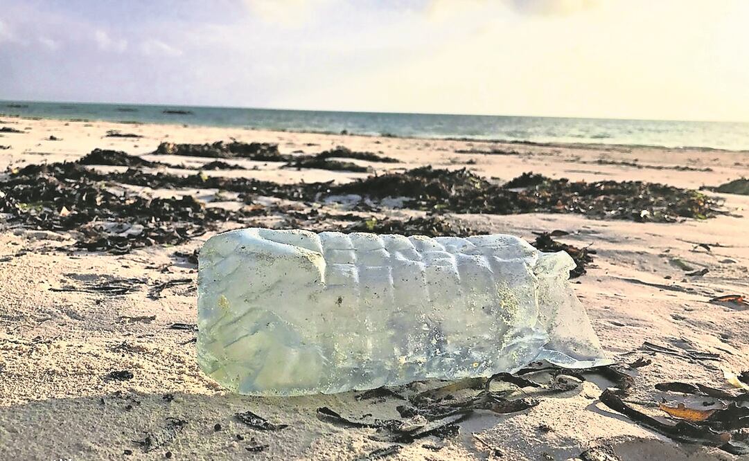 Los expertos señalan que los plásticos, tanto los de uso doméstico como los microplásticos, son una gran amenaza para los ecosistemas marinos (TOMADA DE VIDEO)