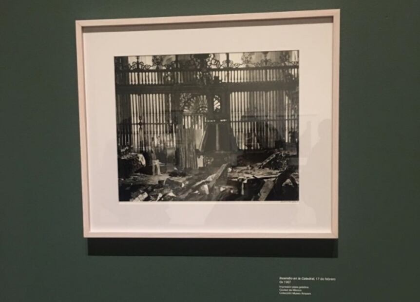 Moya festeja 85 años con exposición en Bellas Artes