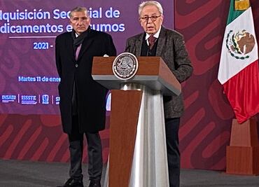 AMLO podría regresar a sus actividades el 17 de enero por cuadro “muy sencillo” de Covid-19: Alcocer