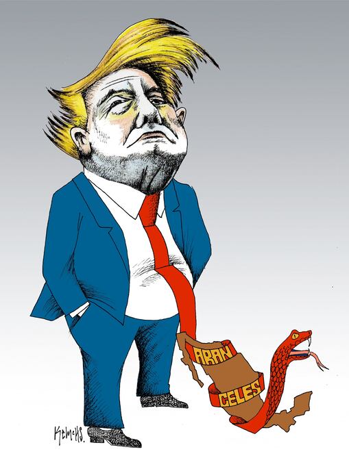 Cartón de KEMCHS
