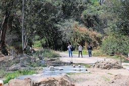 CDMX reporta avance en plan de búsqueda