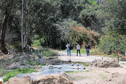 CDMX reporta avance en plan de búsqueda