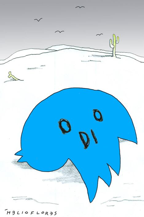 Cartón de HELIOFLORES