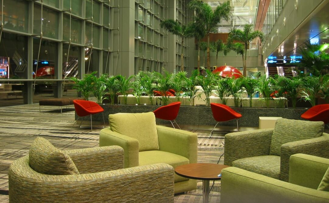 Uno de los principales atractivos del Aeropuerto Changi de Singapur es el jardín de mariposas. (Foto: Christopher John SSF) 