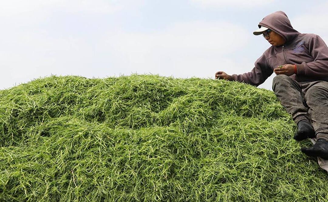 Fotos: Berenice Fregoso / ARCHIVO / EL UNIVERSAL