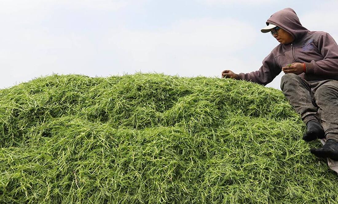 Fotos: Berenice Fregoso / ARCHIVO / EL UNIVERSAL