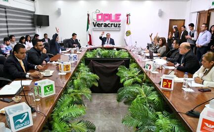 Asignan a Morena 9 diputaciones plurinominales en Veracruz