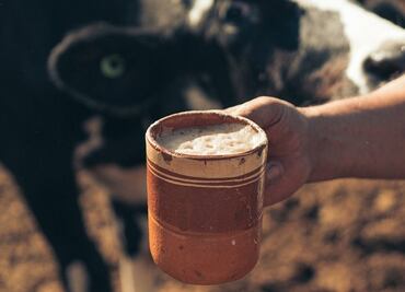 ¿Por qué no es saludable beber leche bronca?