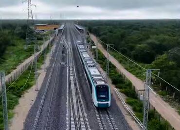 Tren Maya, un "horror ambiental"; cadena de TV alemana critica impacto con video reportaje