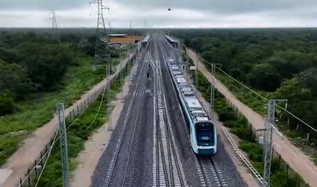 Tren Maya, un "horror ambiental"; cadena de TV alemana critica impacto con video reportaje
