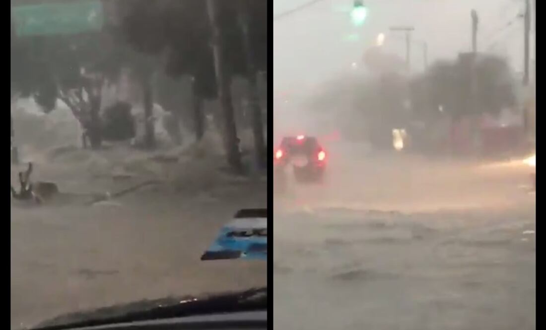 (Foto: captura de video)