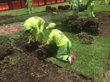 Plantan 120 árboles en barranca en A. Obregón