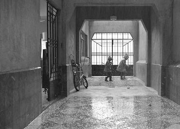 El granizo en ROMA y el loro que no apareció