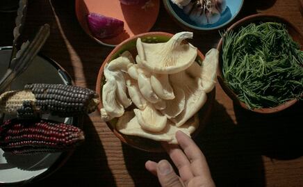 Pacheco Aguachiles: Una alternativa vegetal en La Lagunilla