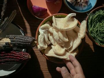 Pacheco Aguachiles: Una alternativa vegetal en La Lagunilla