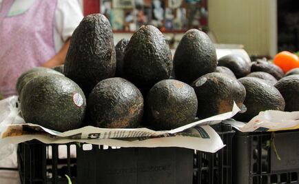 Consumir aguacate puede reducir el colesterol y glucosa 