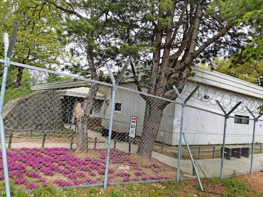 Antigua base militar de EU, en Camp Greaves hay alrededor de 16 edificios y siempre se ve un enrejado para que no cualquiera pase, Foto: Especial