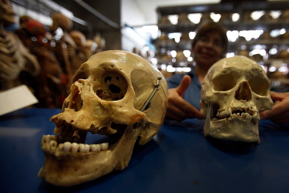 Historias de hombres, mujeres, niños o nonatos quedan compactadas a un número y unas cuantas líneas que describen su posible edad y las causas de su muerte.  Luego, los cuerpos son enviados a alguna institución científica, para que futuros profesionistas aprendan, o a la fosa común del Panteón Civil de Dolores, la más grande de América Latina. 