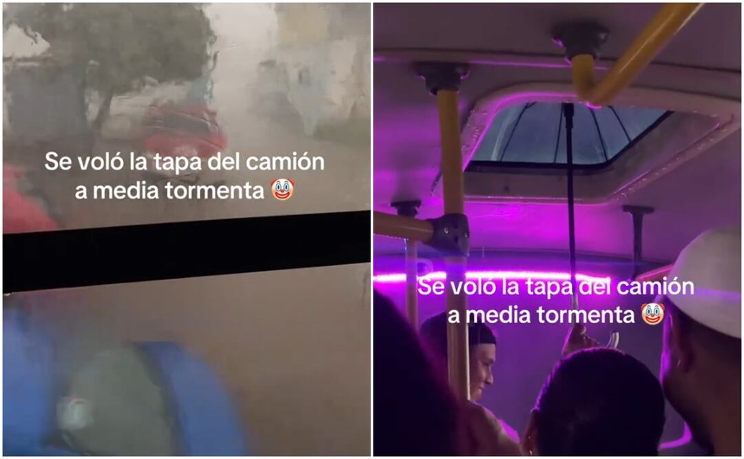 El video capturó la atención de miles de interautas. Foto: TikTok