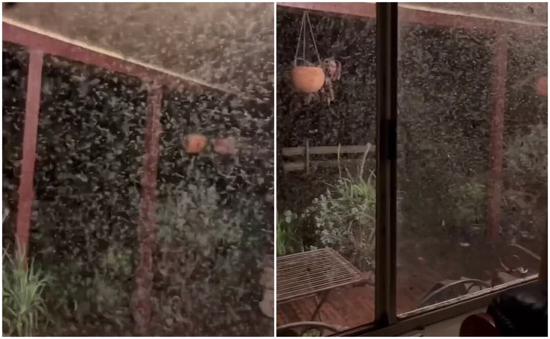 Foto: Tomada del video 