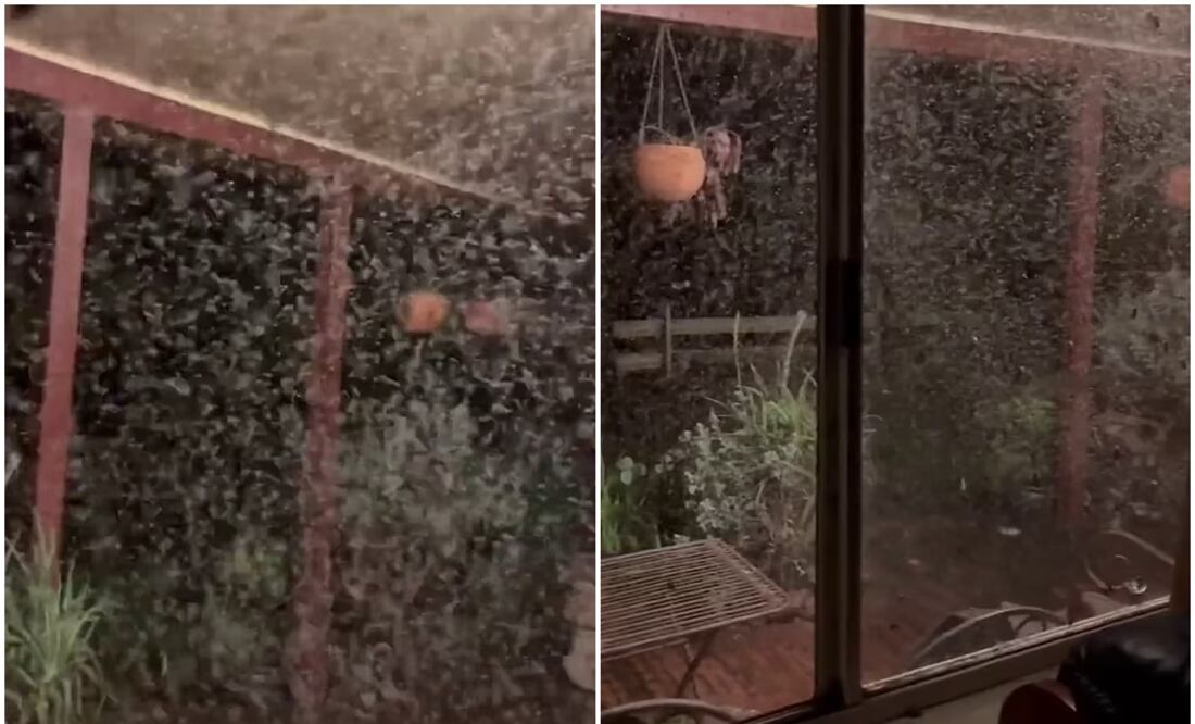 Foto: Tomada del video